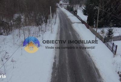 Teren de 2283 mp, în Tarcău - 19