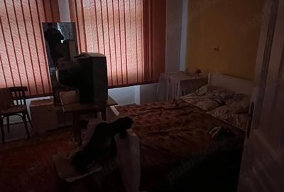 Casă cu Teren 1439 Mp în Sintești - 4