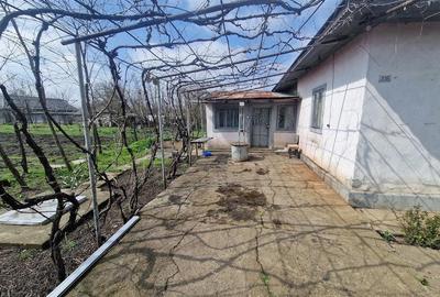 Casă cu 4 camere cu Teren 2170 Mp în Nucetu - 3