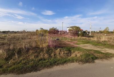 Teren la Asfalt cu utilitati alaturi (Curent & Gaz) langa Bucuresti - 8