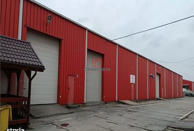 Spațiu comercial, de 3,200 mp, în Ștefăneștii de Jos - 9