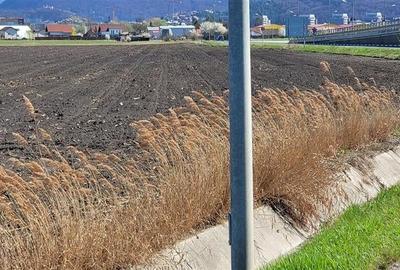 50.000mp teren intravilan, Clasa Master,  in Brasov spre Stupini - 15