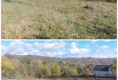 Teren de 3500 mp, în Berevoești - 3