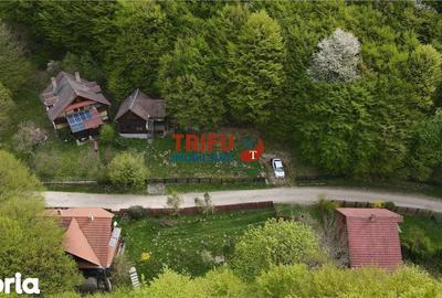Casă cu 4 camere cu Teren 891 Mp în Ighiu - 9