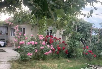 Vand casa cu teren generos in sat Filipesti - 2