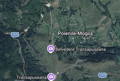 Teren de 6695 mp, în Mogoș - 6