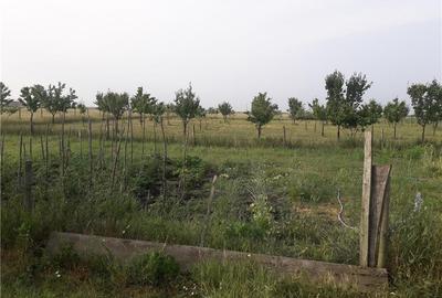 Teren de 11400 mp, în Nord - 2