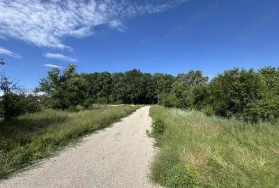 Teren de 2761 mp, în Ordoreanu - 2