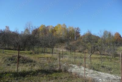Teren de 600 mp, în Govora - 5