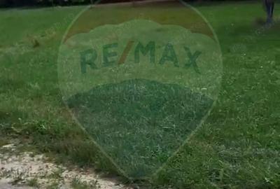 Casa langa parau-sat Brusturi, com. Halmagiu - 2