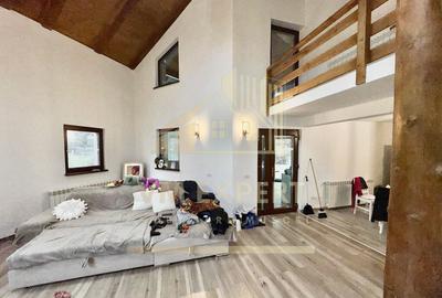 CASA 5 CAMERE 252 MP TEREN 1362 MP DRAGOSLAVELE ARGE? - 11