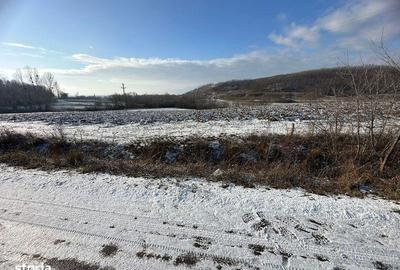 Teren de 9050 mp, în Tileagd - 8