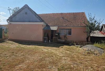 Casa la tara 40 km de Oradea - 6