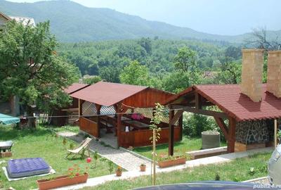 Spațiu comercial, de 431 mp, în Cisnădioara - 3