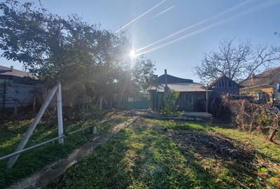 Casă cu 3 camere în Covăsinț - 2