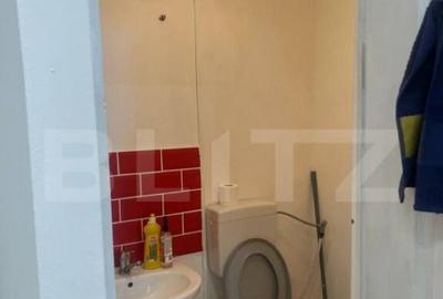 Spatiu comercial cu vad, 50 mp, zona Bvd. Iuliu Maniu - 3