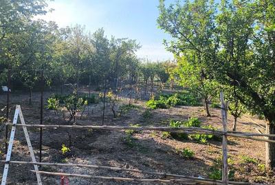 Casă cu 7 camere cu Teren 2118 Mp în Cenad - 15