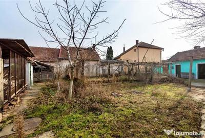 Casă cu 2 camere cu Teren 3036 Mp în Borș - 9