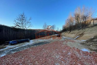 Teren intravilan Cisnadioara Judet Sibiu - 9