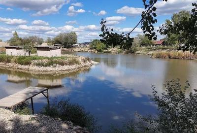 Spațiu comercial, de 4,700,000 mp, în Ineu - 2
