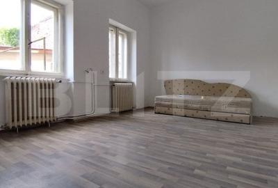 Casa istorica, 2 apartamnte, curte proprie- posibilitati multiple, zona Balcescu - 11