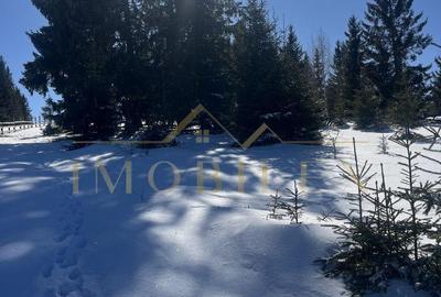 Teren de 800 mp, în Măguri - 3