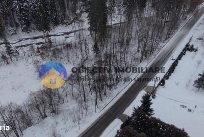 Teren de 2283 mp, în Tarcău - 6