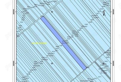 Oportunitate investitie, teren Bilciuresti DB, la 200m de soseaua Bucuresti Targoviste - 1