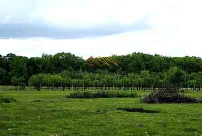 Teren Construcții intravilan de 964 mp, în Mislea - 2