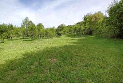 Teren de vanzare in Bradulet Arges - 5