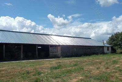 Vand saivan animale ?i teren aferent 2 ha - 2