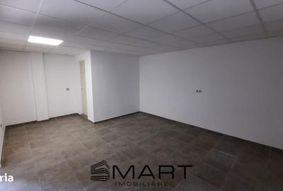 Spațiu comercial, de 800 mp, în Turnișor - 3