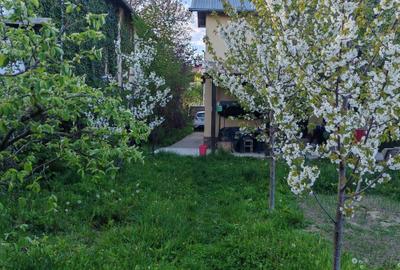 Casă cu 3 camere în Răzvad - 4