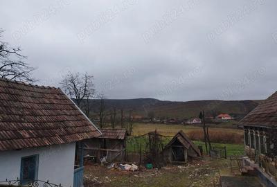 Casă cu 3 camere cu Teren 3629 Mp în Boian - 9