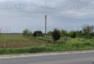 Teren de 7500 mp, în Cazasu - 1