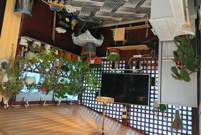 Casă cu 3 camere cu Teren 508 Mp în Popești - 4