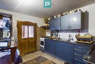 Reziden?a de vis pe Valea Mure?ului la Lala?in? - 25