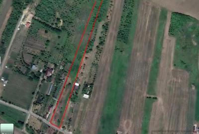 Teren de 2800 mp, în Mirșid - 1