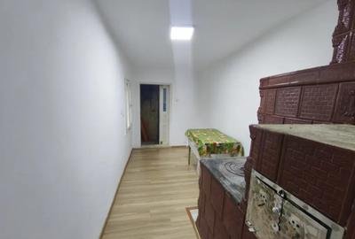 Casă cu 2 camere cu Teren 3000 Mp în Pădureni - 10