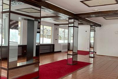 Spațiu comercial, de 200 mp, în Fălticeni - 10