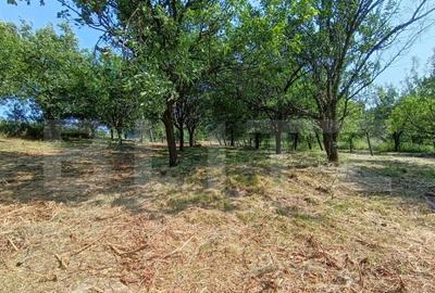 Casa cu 2 camere, 250 mp, zona sud-est - 34