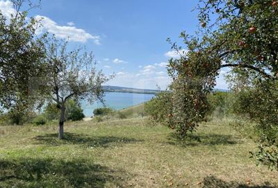 Teren extravilan in apropierea lacului Varsolt in suparfata - 6