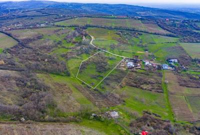 Teren Construcții intravilan de 33500 mp, în Valea Orlei - 11