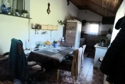 Casă cu 4 camere cu Teren 2300 Mp în Valea Borcutului - 8