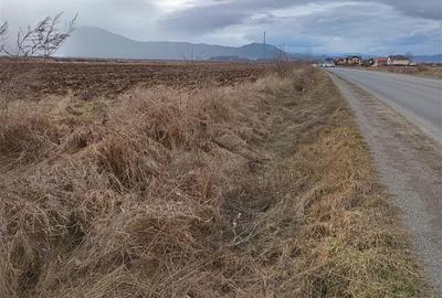 Teren agricol extravilan de 9000 mp, în Nord-Vest - 2