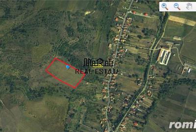 Teren de 18000 mp, în Bârsău - 3