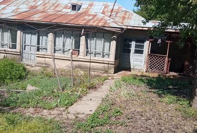 Casă cu 3 camere cu Teren 2588 Mp în Suhaia - 7