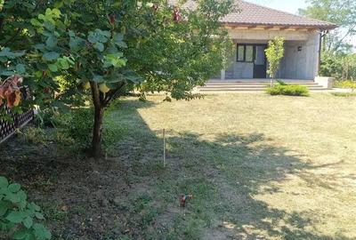 Casă cu Teren 1233 Mp în Odaia Manolache - 1