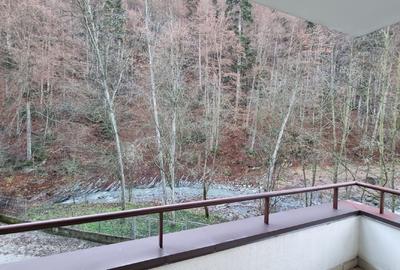 Apartament  2 camere Sinaia - 8