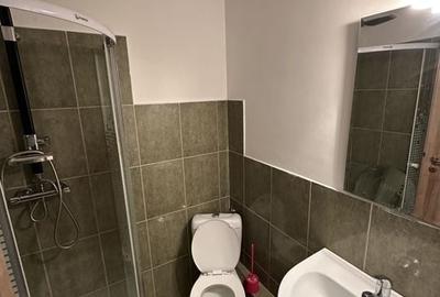 Proprietate cu piscina Dumbravita - 33